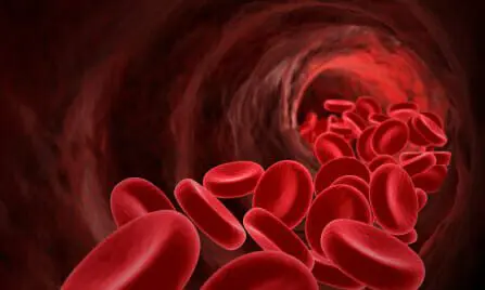Bayer, J&J to Pay $28 Million in Xarelto Lawsuit 1 Red blood cells flowing down a vein