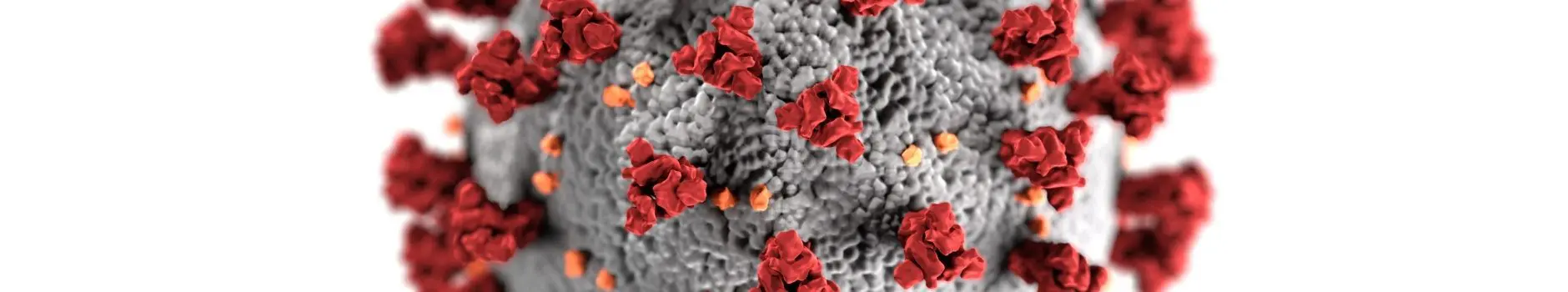 Blog 7 Close-up of microscopic rendition of Coronavirus