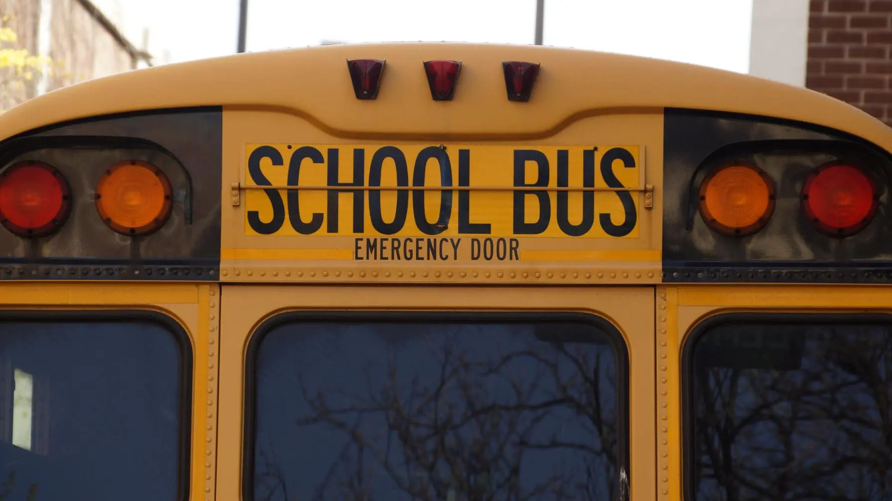 School Bus Accident Lawyers 1 Rear of a school bus emergency door exit
