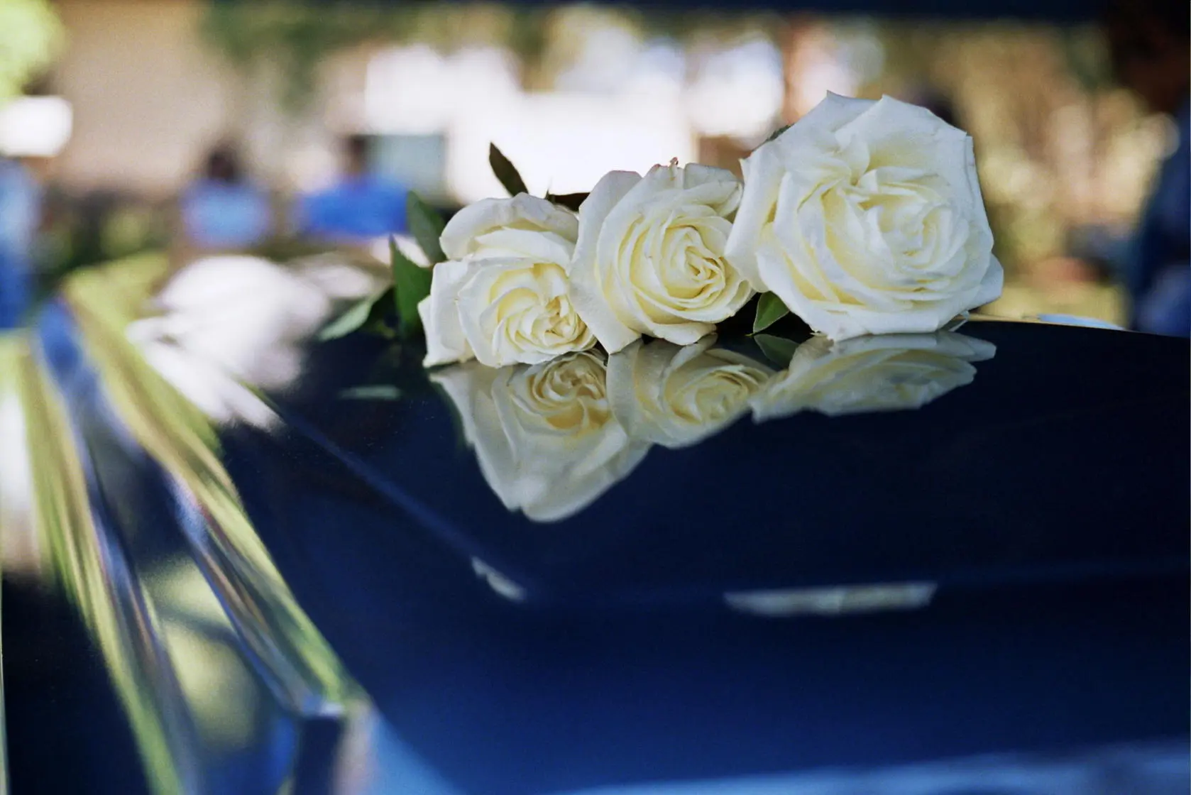 Corpus Christi Wrongful Death Lawyers 1 White roses laying atop a funeral casket