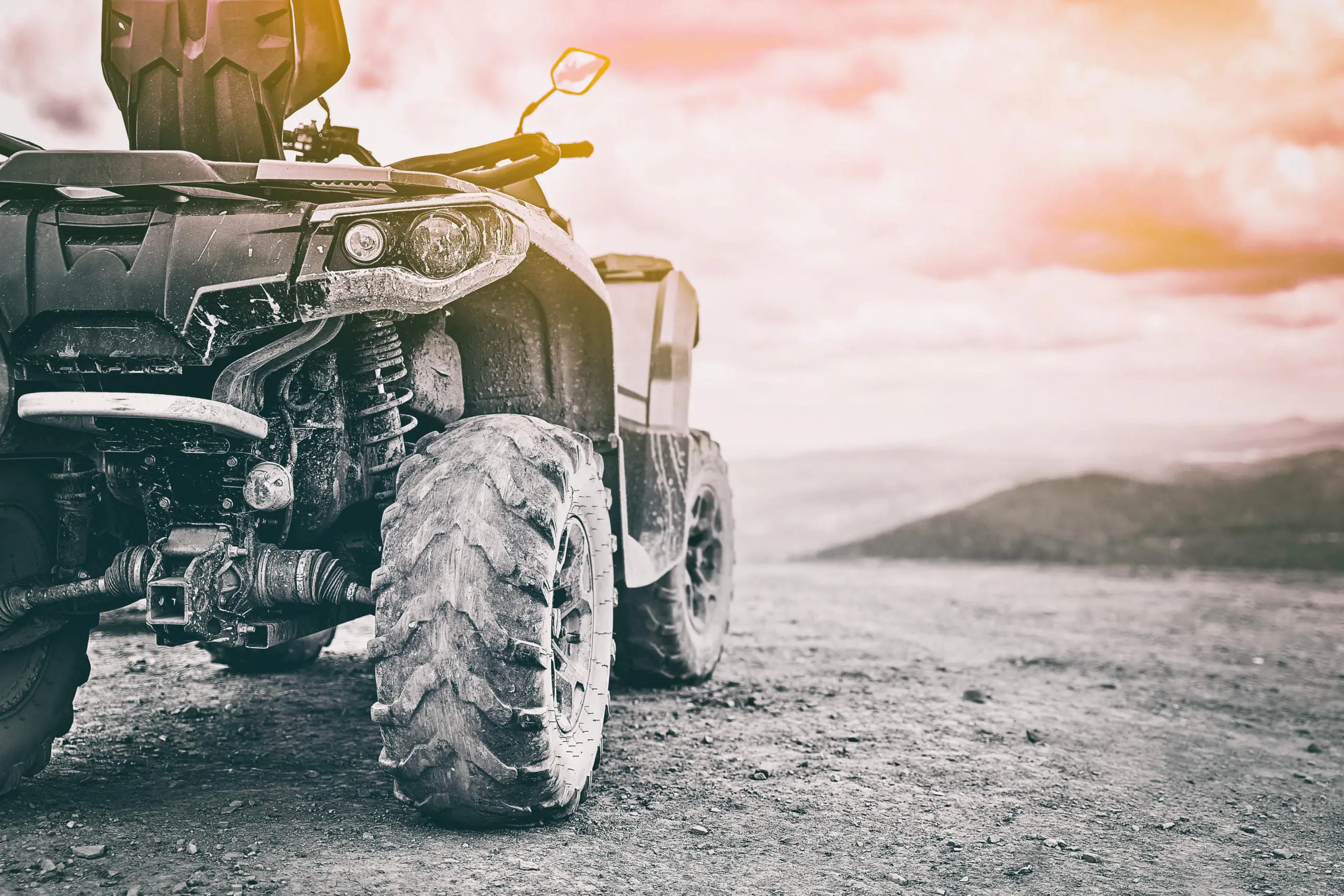 Blog 14 Blog AdobeStock 289050332 scaled