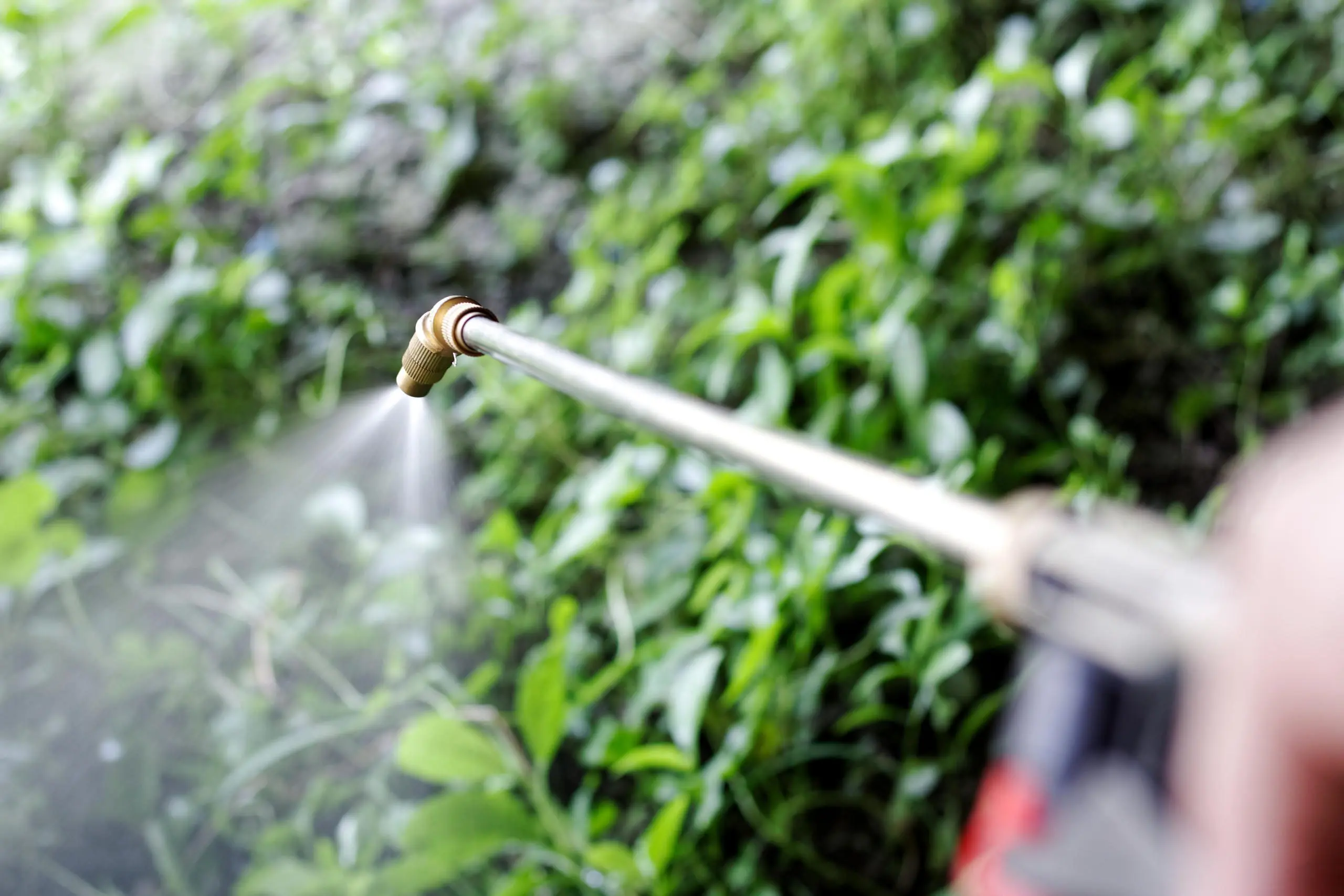 Paraquat Lawyers 1 Paraquat Lawyers AdobeStock 300974236 scaled