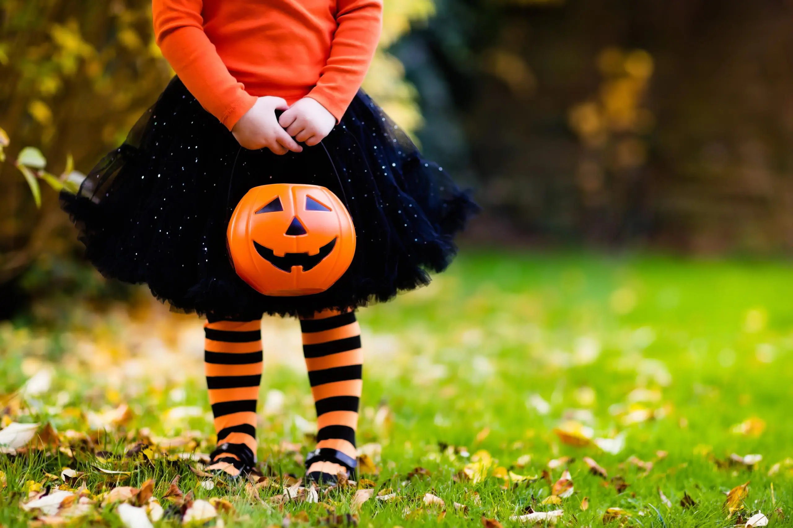 Blog 11 Blog AdobeStock 119089547 scaled