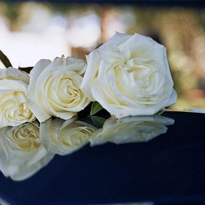 Client Testimonials & Reviews 27 Client Testimonials & Reviews Wrongul Death