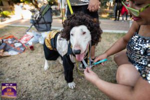 Costumed dog at Thomas J. Henry Bark in the Park San Antonio