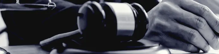 A Guide to Texas Personal Injury Law 3 A Guide to Texas Personal Injury Law Automobile Accidents 02