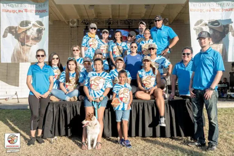 Experienced Litigator Positions 20 Experienced Litigator Positions staff volunteers at 2016 thomas j henry bark in the park